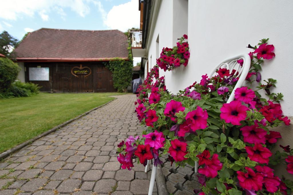 Pension Pod Morskym Okem Karlovice  外观 照片