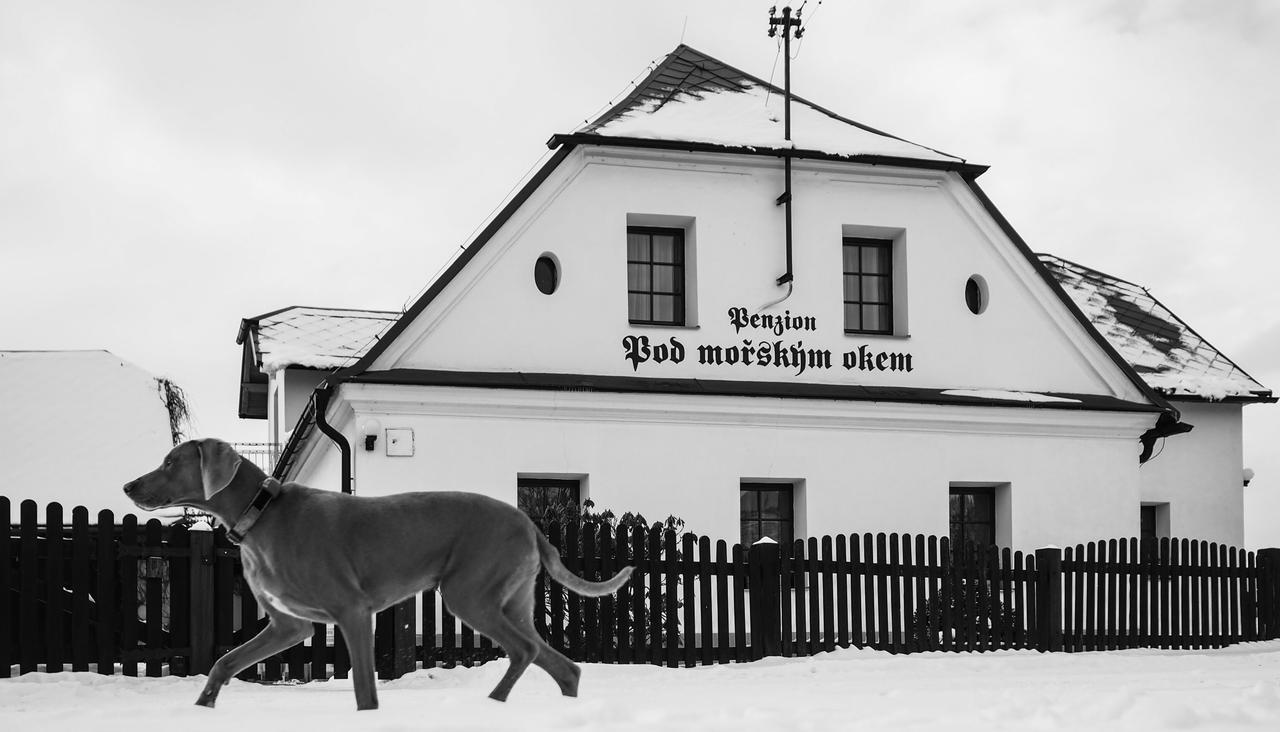 Pension Pod Morskym Okem Karlovice  外观 照片